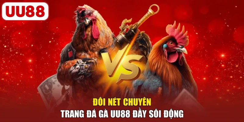 Đôi nét chuyên trang đá gà UU88 đầy sôi động