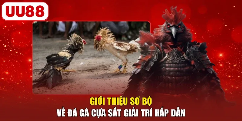 Giới thiệu sơ bộ về đá gà cựa sắt giải trí hấp dẫn