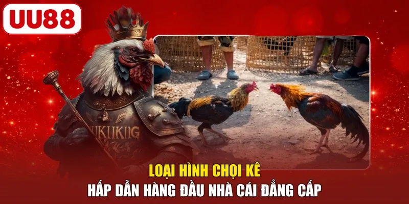 Loại hình chọi kê hấp dẫn hàng đầu nhà cái đẳng cấp