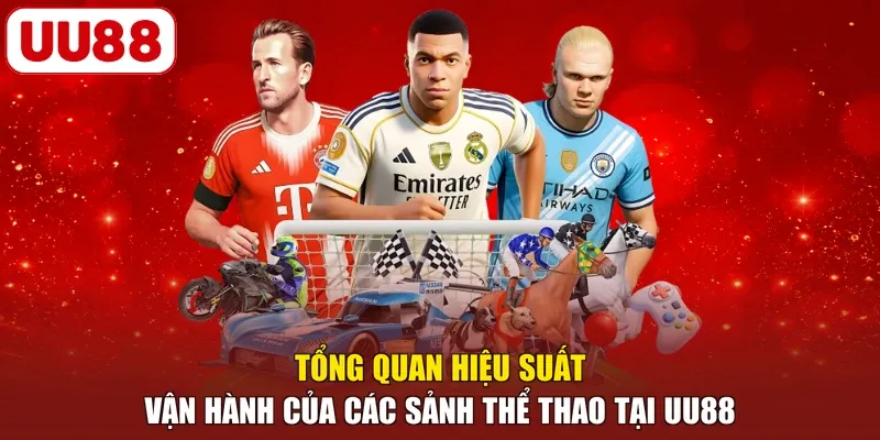 Tổng quan hiệu suất vận hành của các sảnh thể thao tại UU88